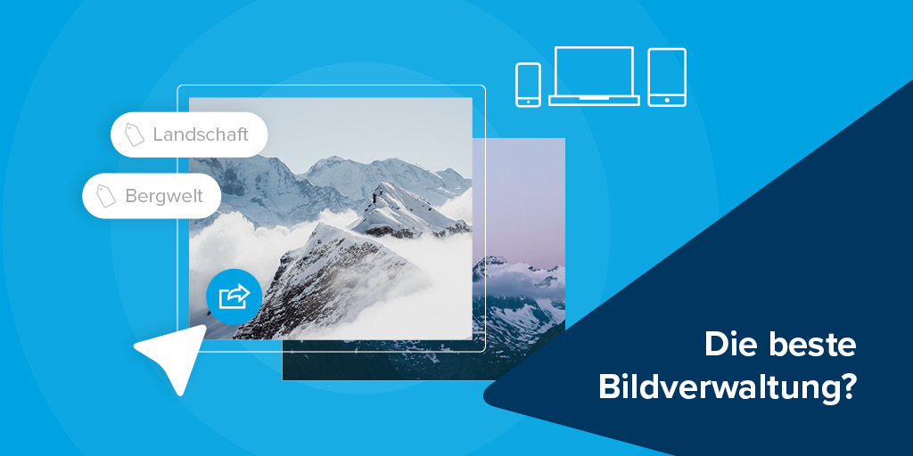 Workflows? Externes Teilen? Integration? - Was ein Digital Asset Management System können muss!
Lest ihr hier
pixxio-bildverwaltung.de/beste-bild-und…
