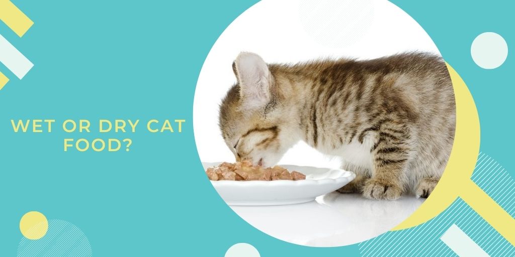 PetsMagnet's tweet photo. 👉Wet food:
- Moisture,
- Easier to digest.
👉Dry food:
-Convenient to use,
-Dry food, in addition to being food, also serves as a toothbrush for the animal,
-Dry food will be a good opportunity to strengthen the muscles of the jaw.
#petsnagnet #catfood https://t.co/SXUx3Kd9Tq