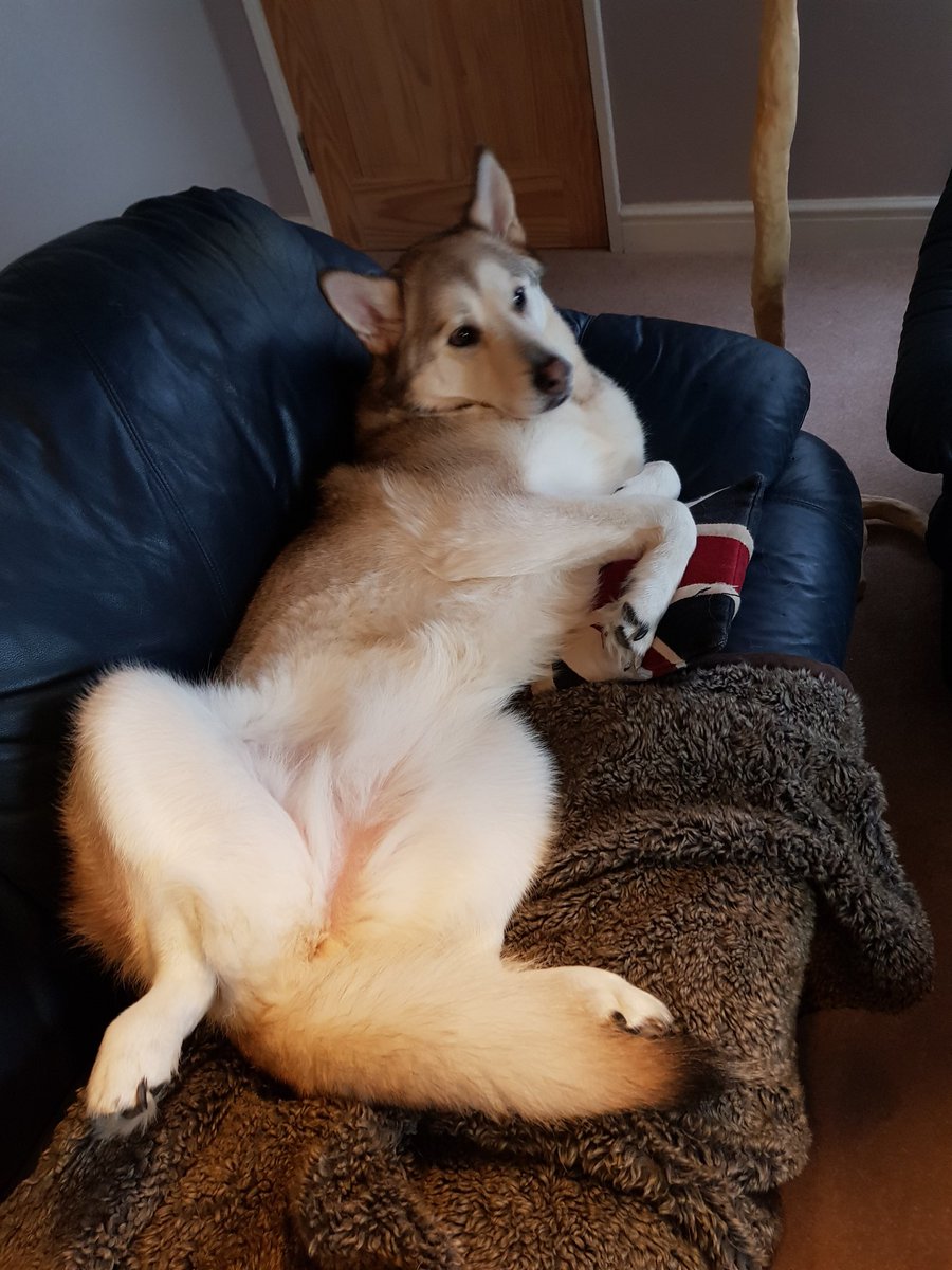 AbChav's tweet image. #HelloBoys