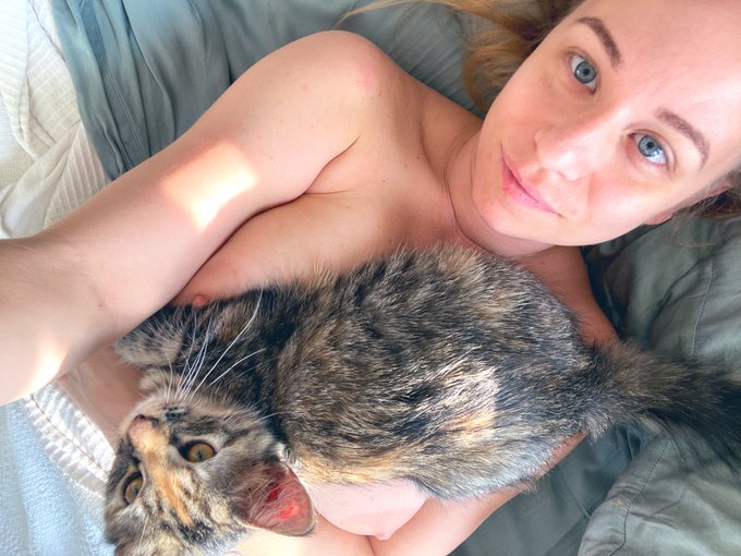 This cat is #nextlevel! Peaches comes and sits on my chest every morning to say hello! https://t.co/<a href="/tag/nextlevel"class="tags">#nextlevel</a>