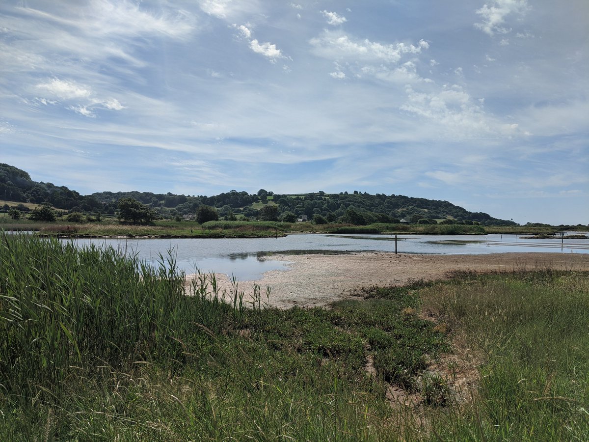 Have you been to visit the Seaton Wetlands recently? A beautiful place to explore. 
#seatondevon #eastdevon #seatonwetlands #naturelovers