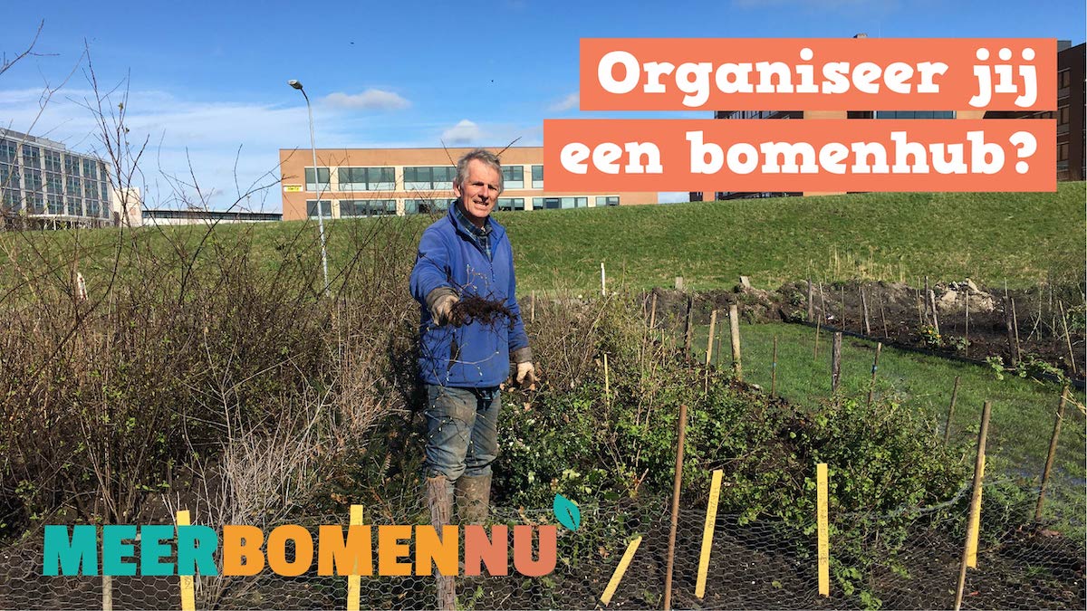 MeerbomenN's tweet photo. Om 1 miljoen bomen te (ver)planten hebben we #Bomenhubs nodig: plekken waar wij bomen tijdelijk mogen opslaan, waar burgers en groenbeheerders bomen kunnen inleveren. En waar burgers en boeren ze gratis ophalen. #samensterk #verplanteenboom https://t.co/DnR7n97s2a https://t.co/0IAiBEfQAR