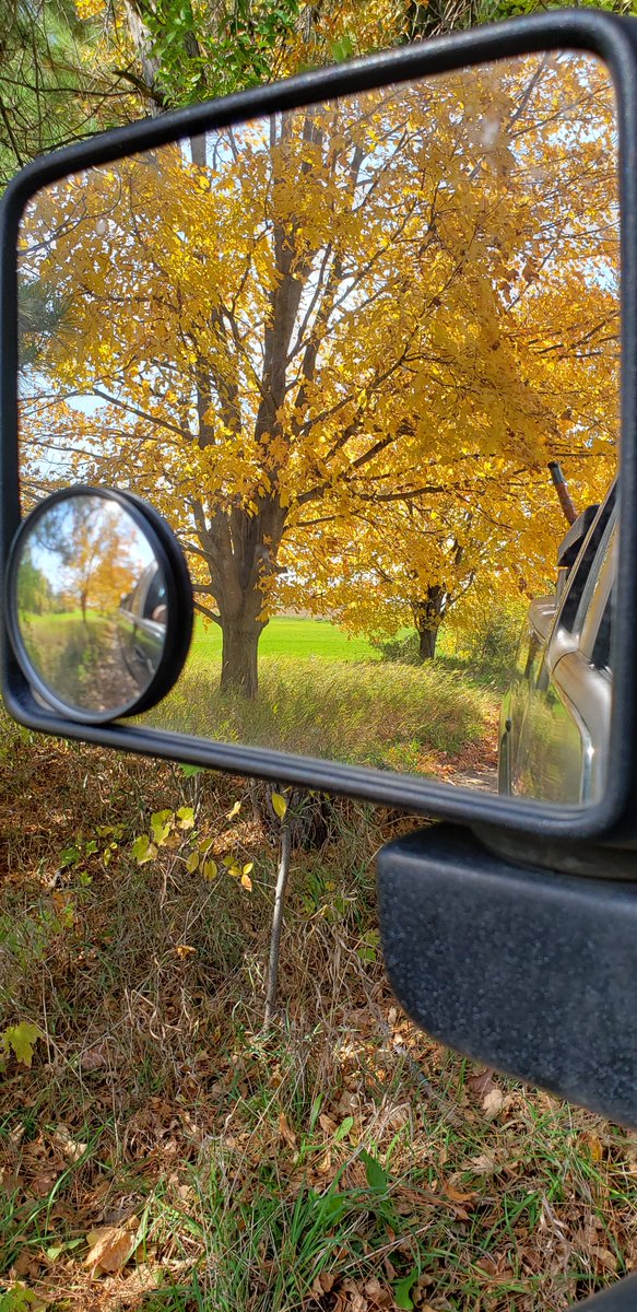 metromosquito's tweet image. Fall in Minnesota. #MNFall #MNNature