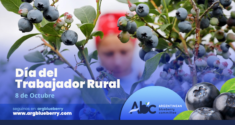 Feliz Día!!!! 💪
#arandanos #mejorconarandanos #blueberries #blueberry