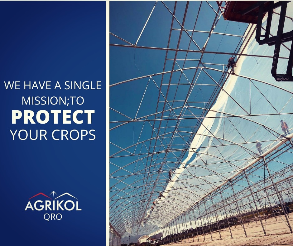 Lack of a favorable #Climate most of the times interfere with the yield that #gardeners get. With a #greenhouse, you're guaranteed a good return on #investment