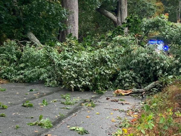 HomeinMetrowest's tweet image. @NETreeMasters Photos of TREE damage right in Boxborough - home of New England Tree Masters! 
#boxborough #MAstorm