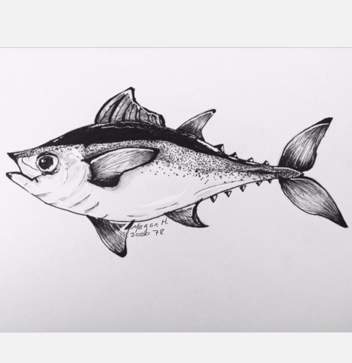 malcolm_goff's tweet photo. My student Megan’s #fish for #inktober2020 #inktoberfish #brogdenmiddleschool @BrogdenMiddle @DurhamPublicSch #middleschoolart https://t.co/nZ6Uf8wZ5O