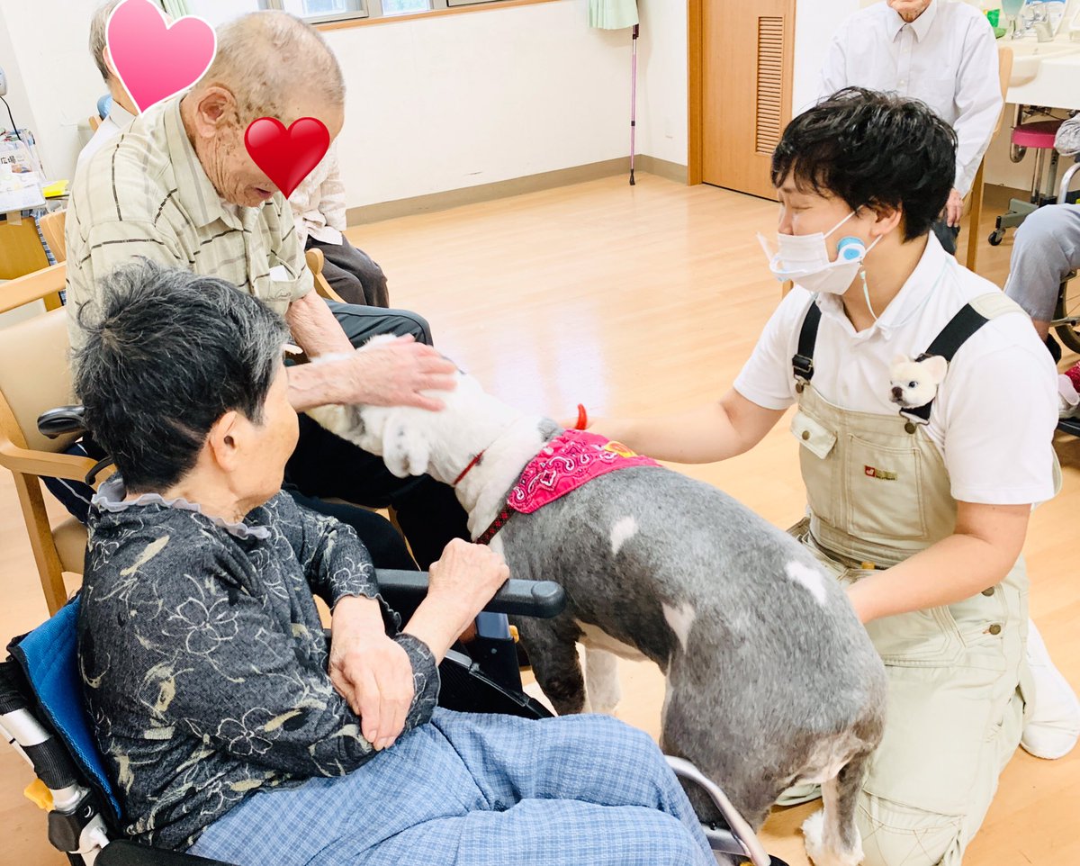 動物介在活動 動物介在活動