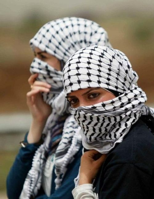3. the kufiah is also worn by palestinians who loot israeli bases in order to hide their identity, as well as soldiers for the same reason ( to hide your face, it is usually wrapped around your head like this. )