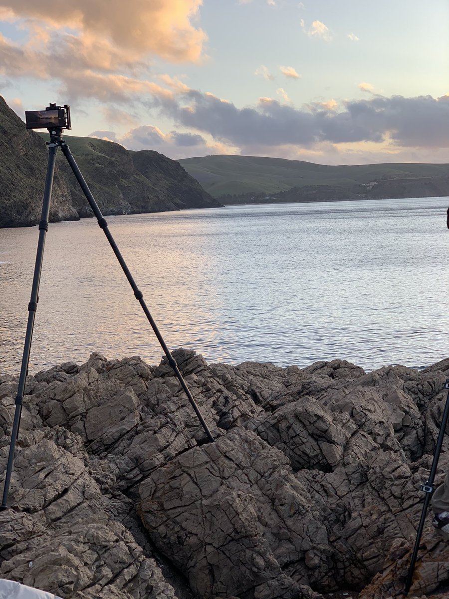 YsoSersY's tweet photo. The Art &amp; Artist !! 

I have been lucky to travel the world but the connect and calmness i feel near the sea on a quiet sunset is just Serenity !! 😊 😊

#SouthAustralia  #SecondValley #WeekendPhotography https://t.co/c6APK1ItG5