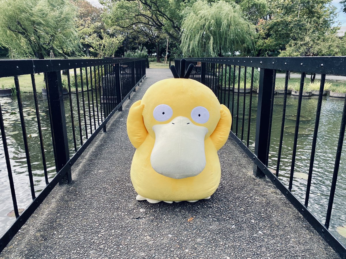 Ljestve Teme 等身大コダック Na Twitteru