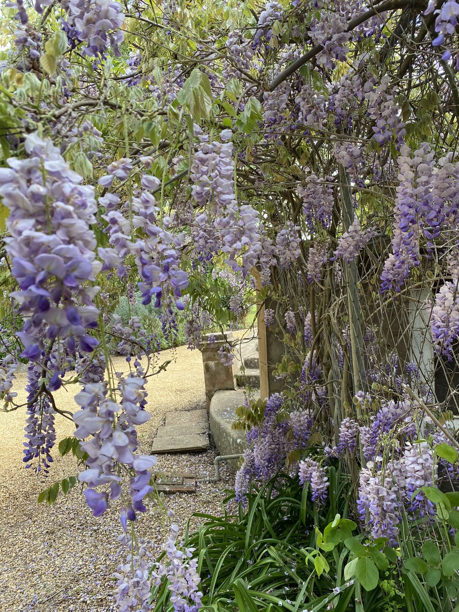 RundleTom's tweet image. Great to get an early walk around the magnificent gardens of @anlabyhomestead prior to their open gardens this weekend. Highly recommend a visit and to support regional SA. #regionsmatter #helpingcommunitiesthrive @southaustralia