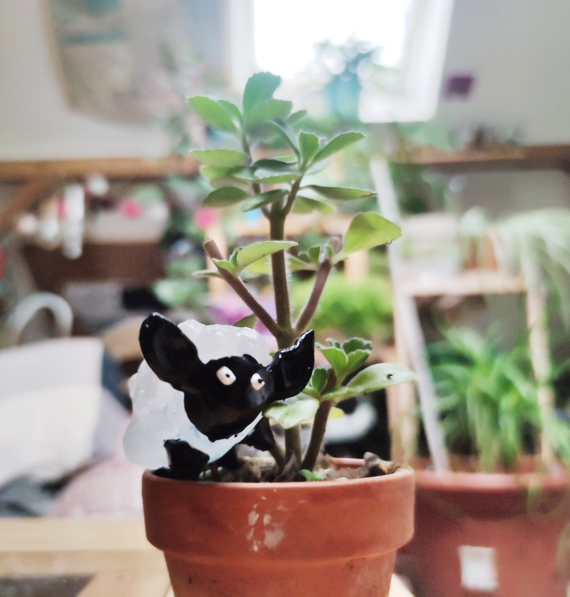 EbibiGlass's tweet image. ✨Tirage au sort ✨
RT + follow et tentez d'adopter ce petit mouton bête gardien de plonte 

Tirage au sort le jeudi 15 octobre à midi