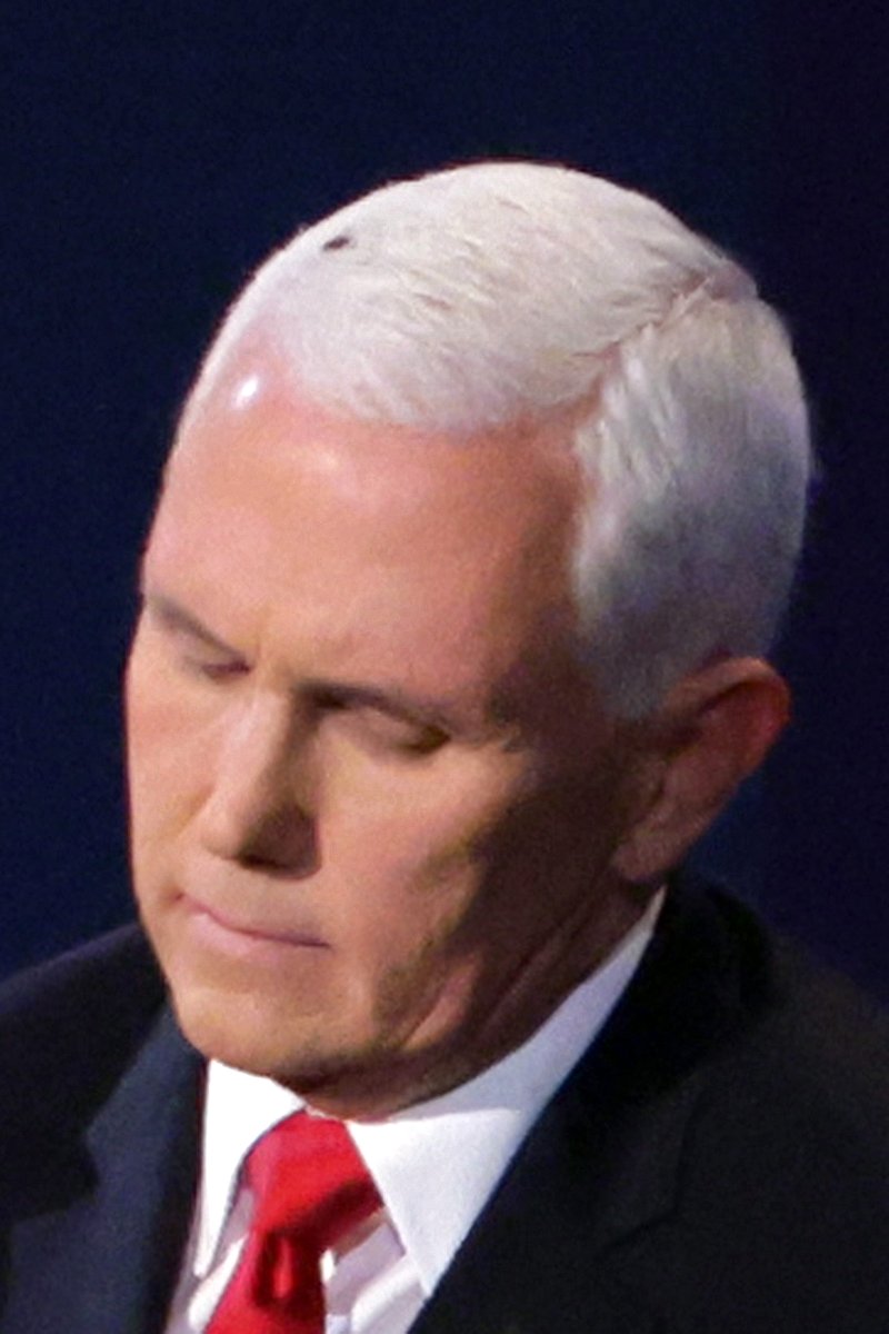 1010 Wins On Twitter New Joe Biden Campaign Selling 10 Fly Swatters After Fly Nests On Pence S Head During Vpdebate One Of Its Most Buzzed About Moments Https T Co Zo5z87a0ow Https T Co Rfizzuquiu