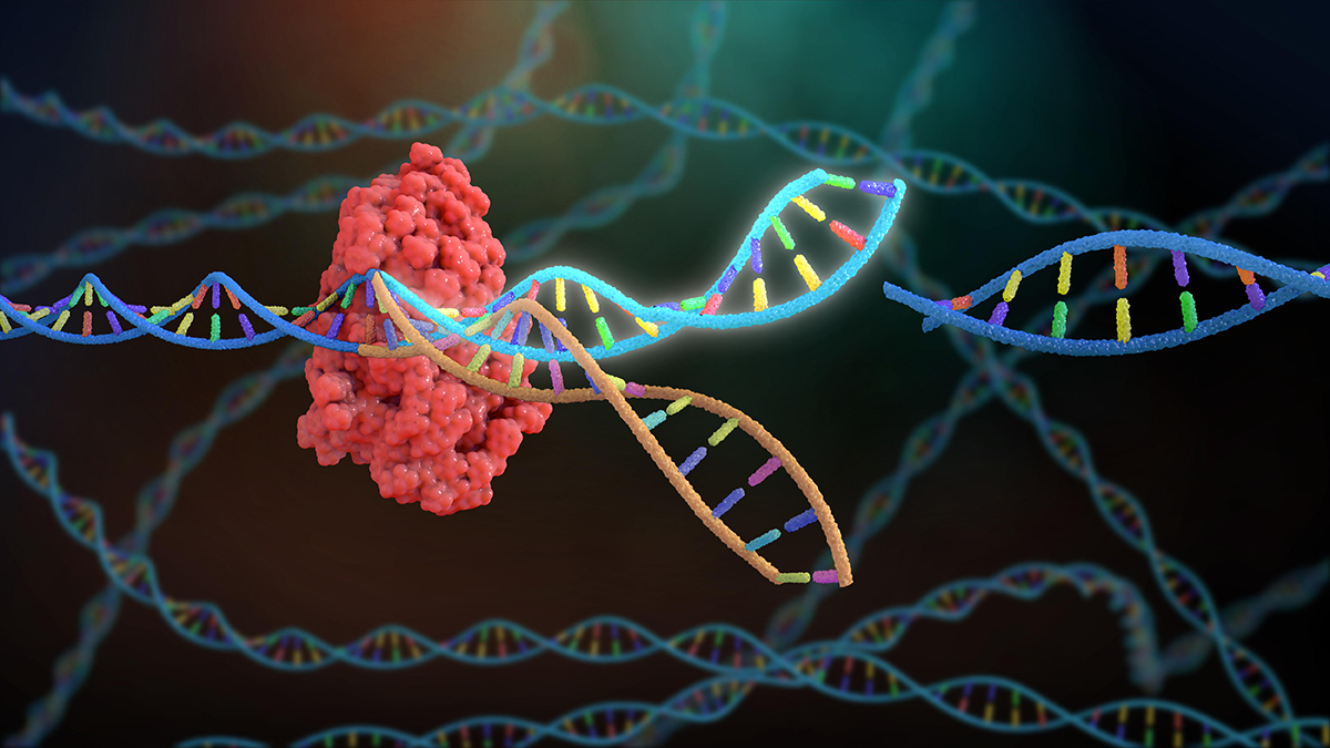 Have a look at our 2020 Series on the use of #CRISPR technology in #CellBiology. #NobelPrize2020 go.nature.com/2YaVMcF