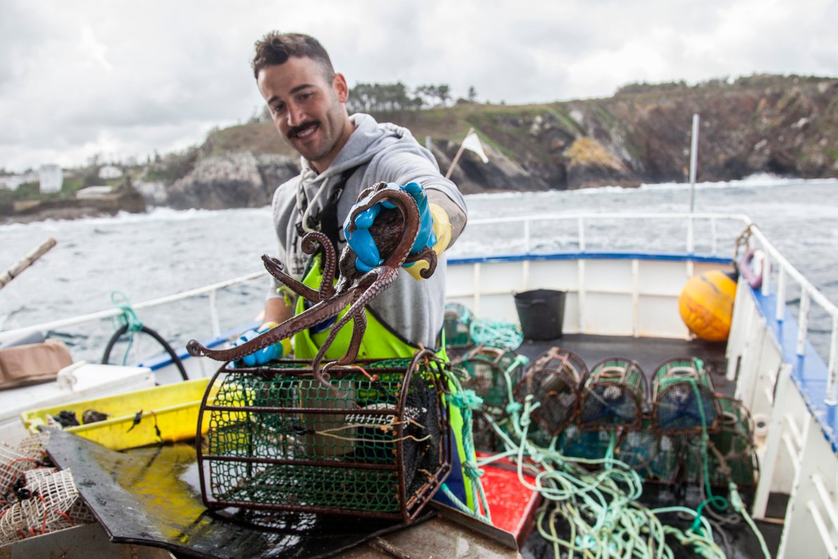 AlbertoAristin's tweet photo. En este día internacional del #pulpo mi reconocimiento a los pescadores artesanales de pulpo de Asturias, un pequeño grupo de gente que han conseguido cosas extraordinarias.
Os lo cuento aquí 👇 
https://t.co/1YORj9XasH https://t.co/TTBdYonBEy