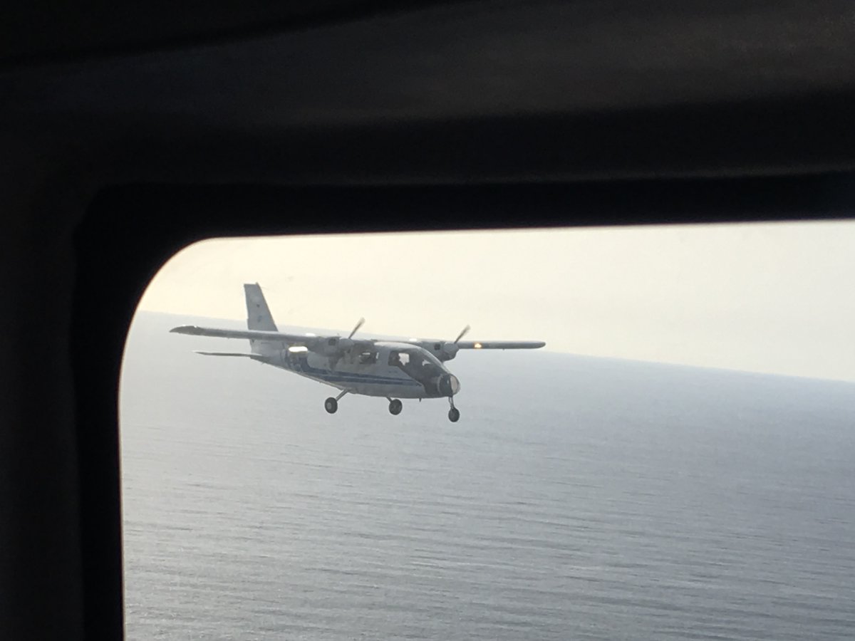 ISPRA_Press's tweet image. 🛫✈️🐳🐋 Survey aereo dell'#ISPRA per il #monitoraggio dei #cetacei ancora in corso. #Balenottera comune, #capodoglio, #tursiope, e #stenella: ad oggi, le specie più osservate negli oltre 70 avvistamenti effettuati.
La mappa con la rotta seguita dagli aerei👇 @GiancarloLauri2