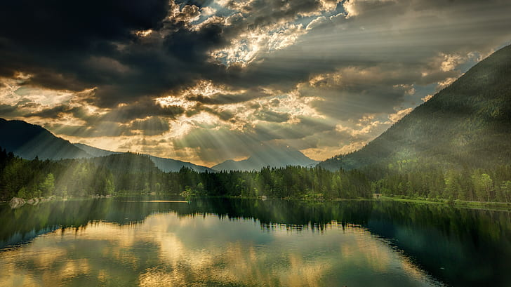 zazafontaine42's tweet photo. La beauté de la nature !!💚 https://t.co/4YrByTc3rV