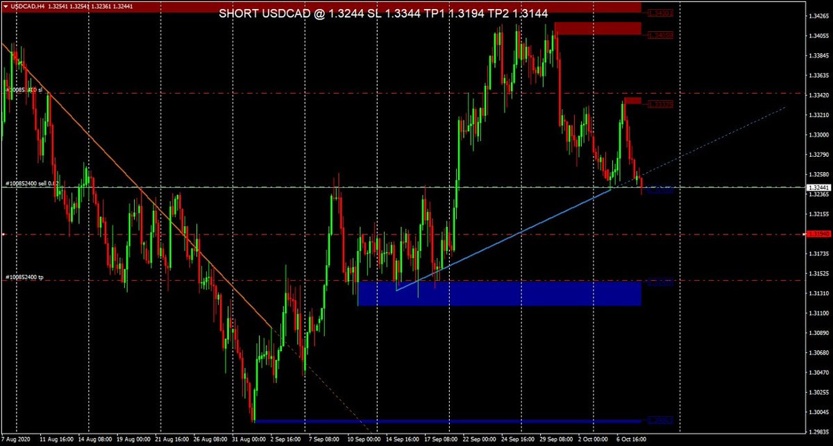 Forex Trainer tweet media