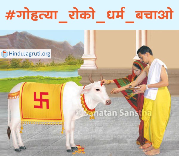 गोमाता संपूर्ण हिन्दू समाज के लिए वंदनीय तथा पूजनीय है । गोमाता की पालन से मनुष्य को अनेक प्रकार के लाभ होते है । परंतु आज भारतीय गोवंश की अनेक प्रजातियां अनिर्बंध चल रहे गोहत्या के कारण नष्ट हो चुकी है तथा कुछ प्रजातियां नष्ट होने के मार्ग पर है ।

#गोहत्या_रोको_धर्म_बचाओ