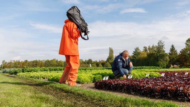 RijkZwaan's tweet photo. EVENT – Meanwhile at our Open Field e-vent in Fijnaart 🎥
Meet us and be inspired by the varieties and good conversations! https://t.co/VV78Wyi1CR
#hybridevent #demofield #SharingaHealthyFuture https://t.co/NT0P2kEmGX