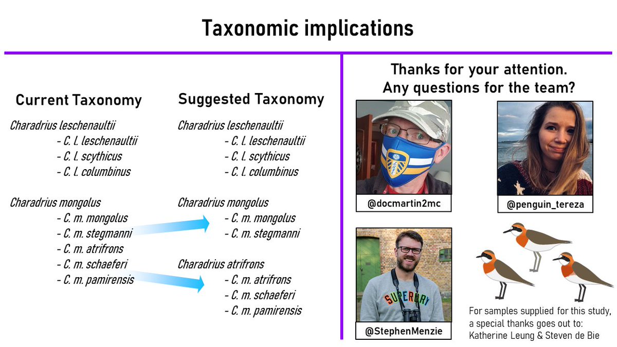 6  #ISTC20  #Sesh9 Based on this new genetic evidence, in addition to differences in biometrics, plumage characters and allopatric breeding ranges, we argue that the Sand Plover complex is comprised of 3 species: C. leschenaultii, C. mongolus and C. atrifrons.  #taxonomy