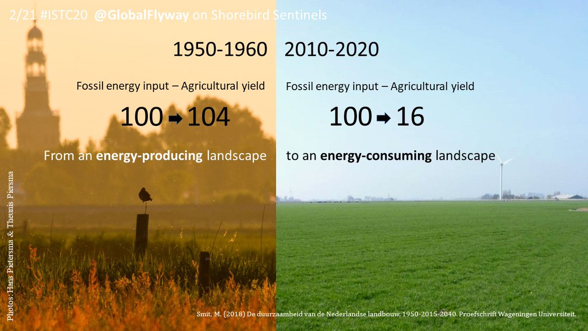 2/21  #ISTC20  #Sesh9Recently, 100 units of fossil energy produced 104 energy units of food, thanks soil-based processes. Now, 100 units fossil energy yield 16 food units, the 84% loss equals release of CO2 & active nitrogen threatening climate & biodiversity.  #globalchange  #dairy