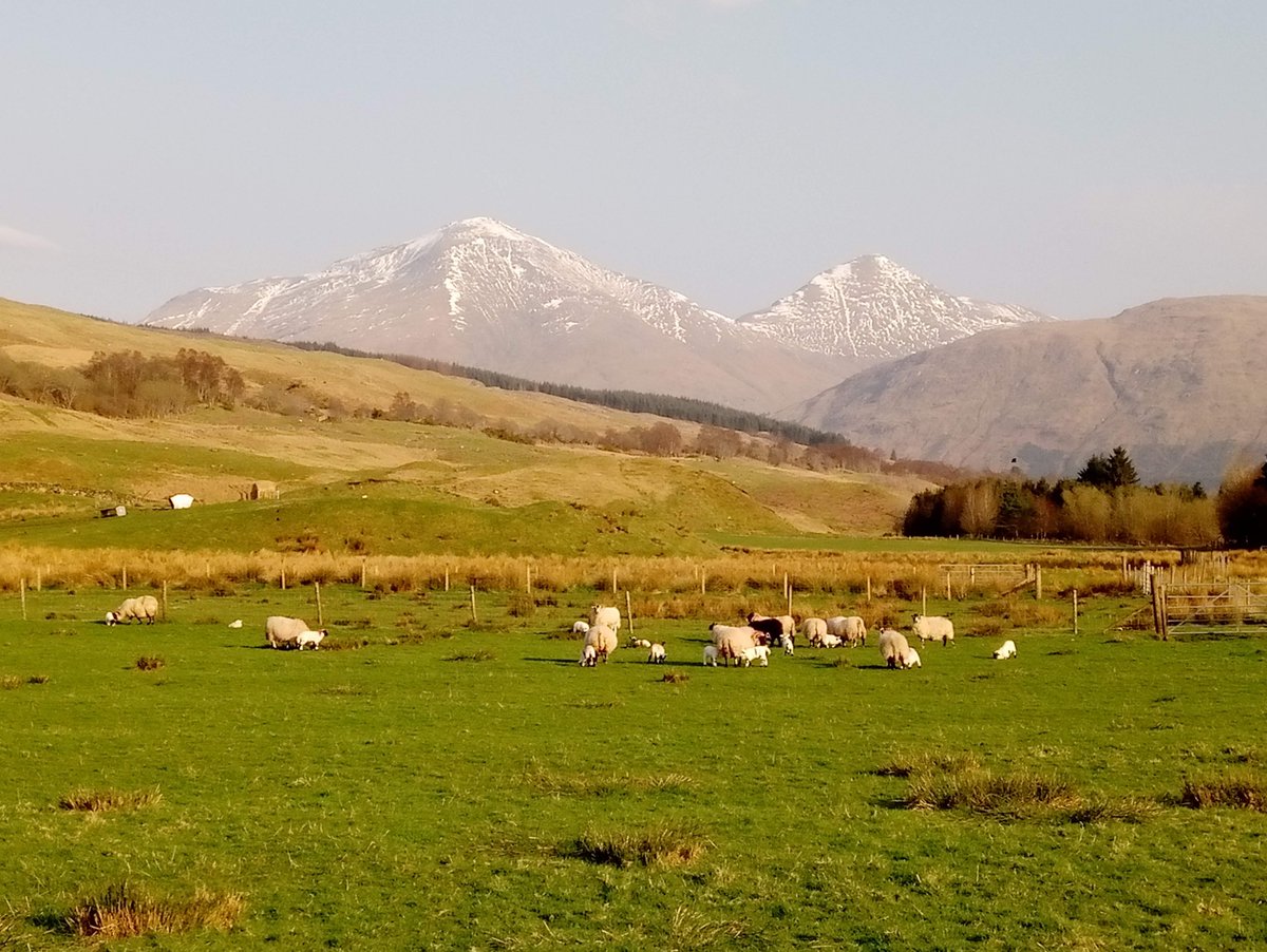 [2/3]

We're looking for farmer or vet practices in hill and upland areas who are willing to complete a short questionnaire for this project.

We'd also like to identify 10 focus farmers willing to share information about their farms and faecal samples from their animals.