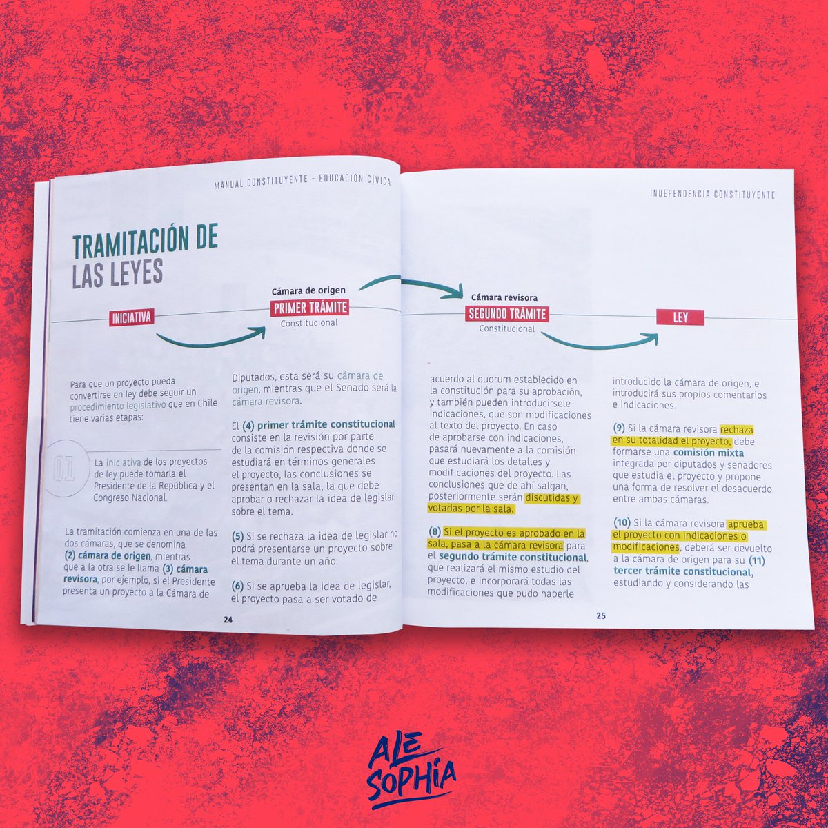 alesophiaaa's tweet photo. Me acordé que por aquí no pasé contando pero en @IndependenciaC_ hicimos este bello Manual con info y conceptos básicos para dar la discusión constitucional apto para todes! Pueden descargarlo de forma gratuita en https://t.co/ySFwB76Dx7 | RT! https://t.co/wjiZoE7B6d