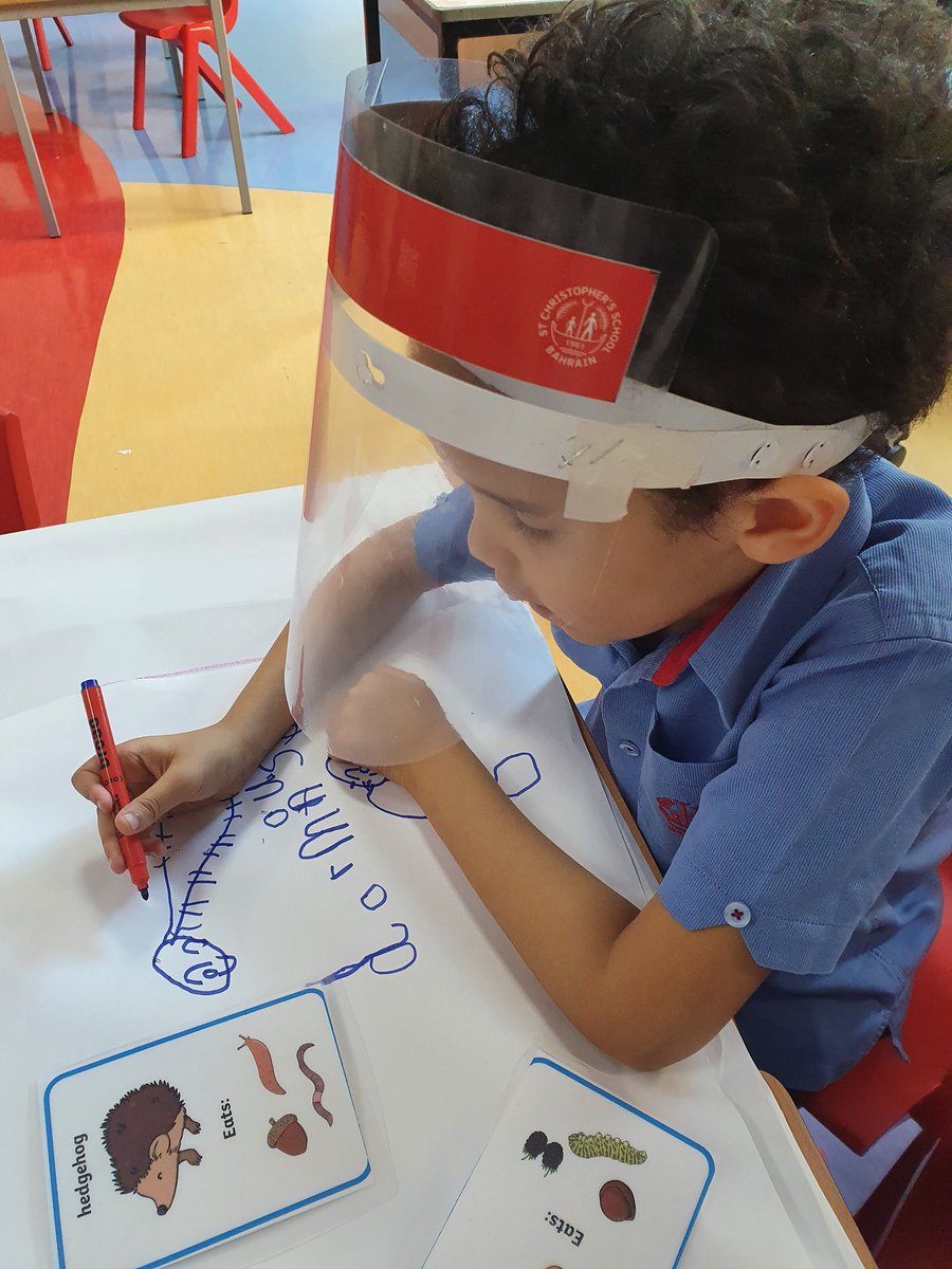 In Y1, we are Scientists learning to classify animals #StChrisYr1