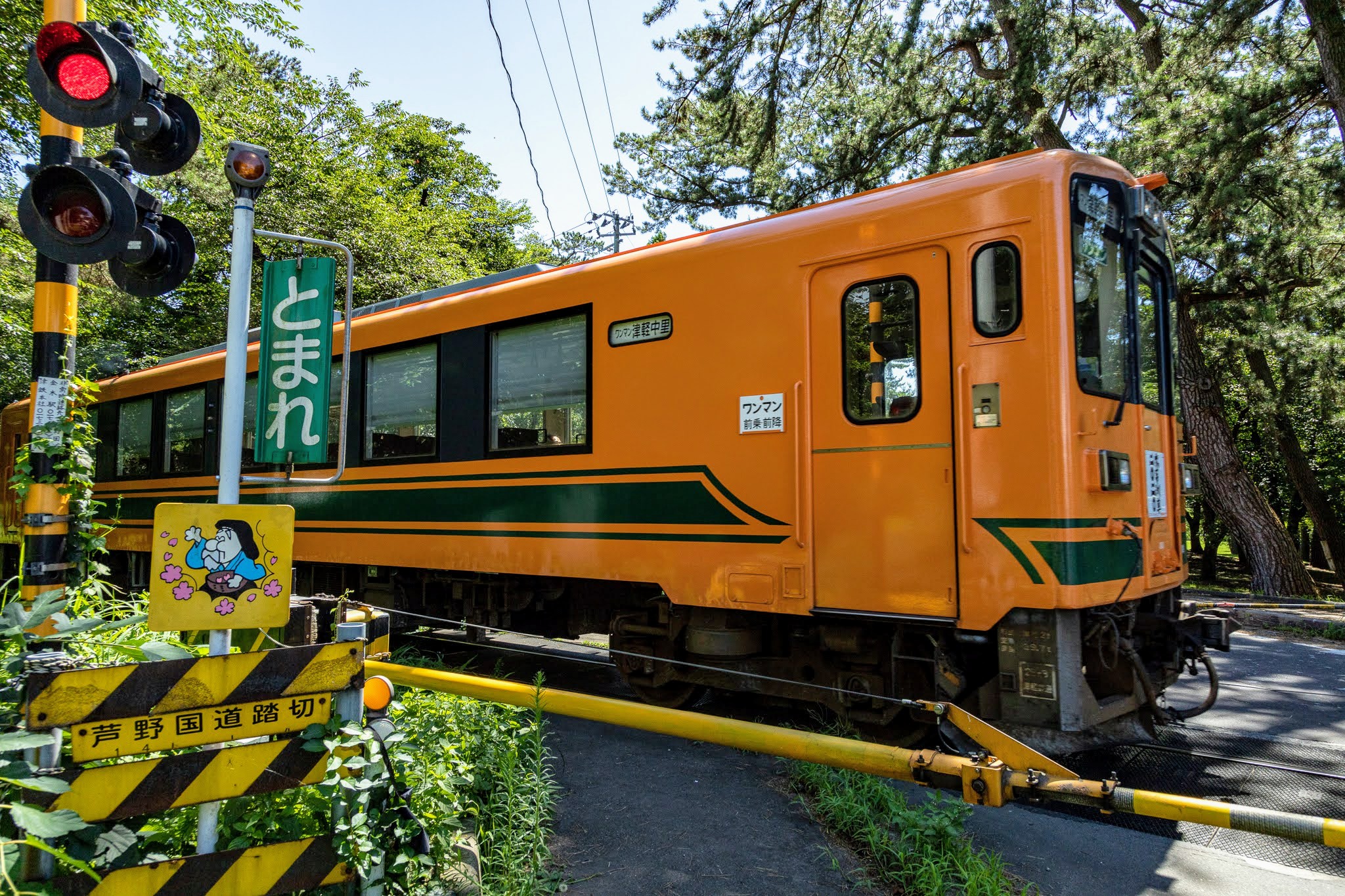 Photography K 芦野公園踏切の 花咲かじいさんのイラストがかわいい T Co Juxee2nmec Twitter