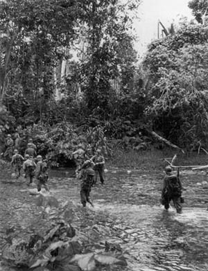 The Kapa Kapa Trail - very steep, difficult, and remote, even today. Over 900 members of the completely unprepared 2d Bn,126 Infantry Regiment, 32nd Infantry Division trekked across it in 42 heartbreaking, agonizing days - never saw a Japanese soldier during their exhausting trek