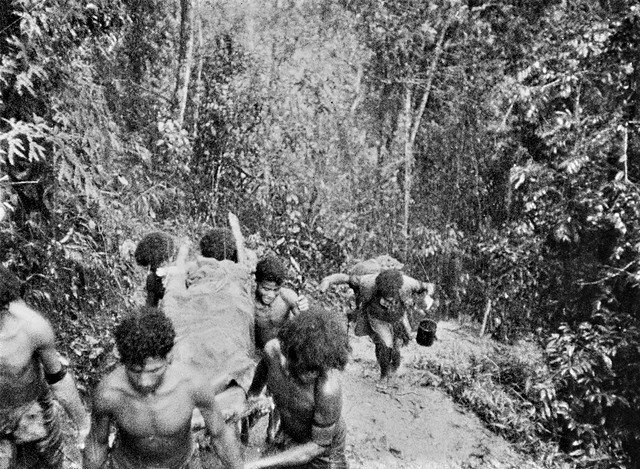 The troops from Michigan suffered greatly from exposure to the mountain conditions; most contracted malaria, dengue fever, bush typhus, trenchfoot & tropical dysentery. They had only 6 days rations, expecting resupply drops en route. Papuan carriers left them after several days.