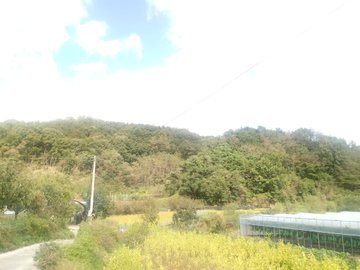 韓国でお葬式に行ってきた 日本婿あつしの韓国生活 Atsushi S Life In Korea