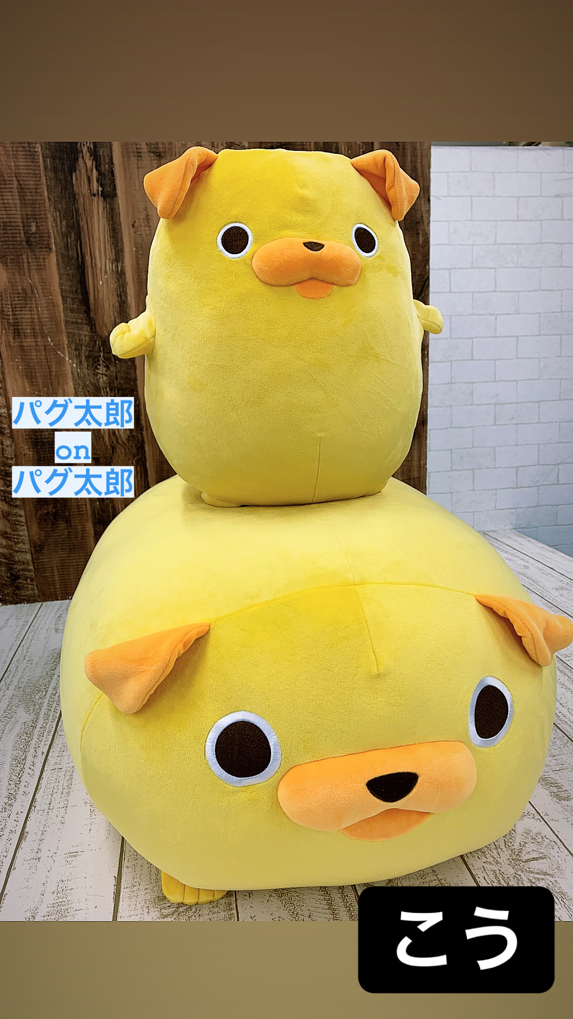 日テレサービス 【グッズ情報】 على X: 