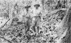 Harsh reality of the New Guinea climate was a terrible shock to the raw II/126th. Totally lacking in jungle training, their field craft was appalling. Rate of advance was far below their Australian allies. At the trail’s end, they were in a badly weakened and dispirited state.