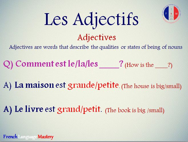 FrenchMastery's tweet photo. Adjective...
#learning #Learn #learnfrench #learnfromhome #language #languages #languagelearning #French #frenchonline #frenchlanguagemastery #Students #student #OnlineClasses #Onlineclass #speakfrench #adjectives #grammar https://t.co/xFig3vMkqP