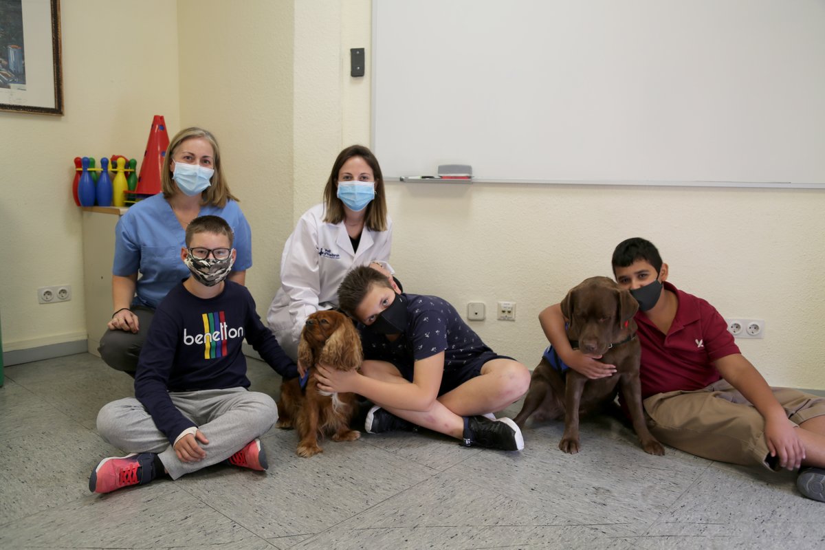 Un pionero estudio a nivel mundial de Vall d’Hebron demuestra eficaz la teràpia assistida con perros en tratamiento de niños con síndrome alcohólico fetal. Mejoran la comunicación, conducta y expresión de sentimientos.

Colaboran <a href="/GRUPO_CTAC/">CTAC</a> i <a href="/FProbitas/">Fundación Probitas</a>.

vhc.cat/SAF-perros