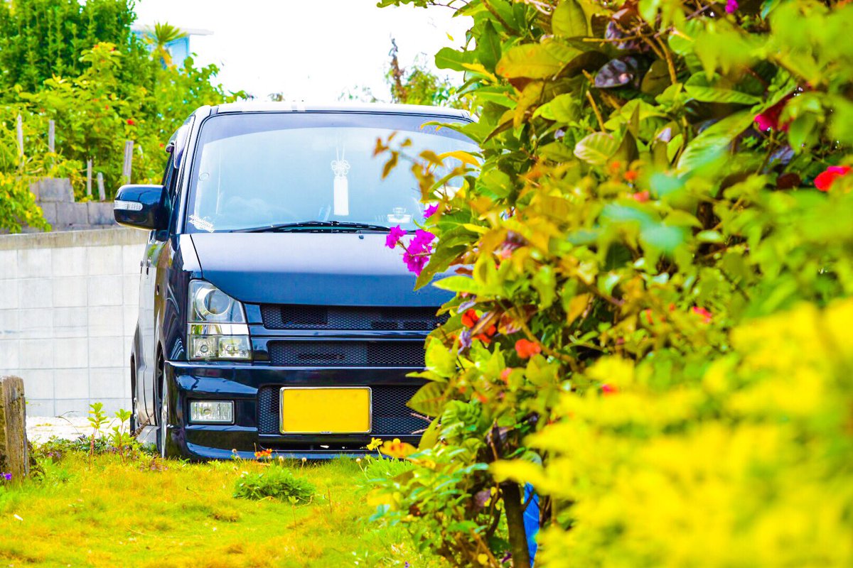 小さな車大きな未来 小さな車大きな未来