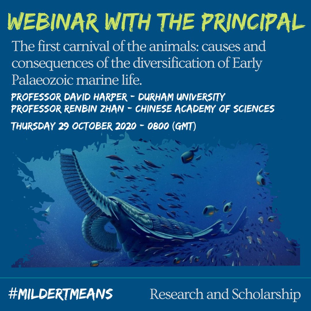 Join our @VM_Principal for this fantastic webinar on 29 October! #MildertMeans #scholarship #research so do join this session taking place in conjunction with the Chinese Academy of Sciences. All welcome to learn more about the #carnivaloftheanimals Sign-up link in bio!