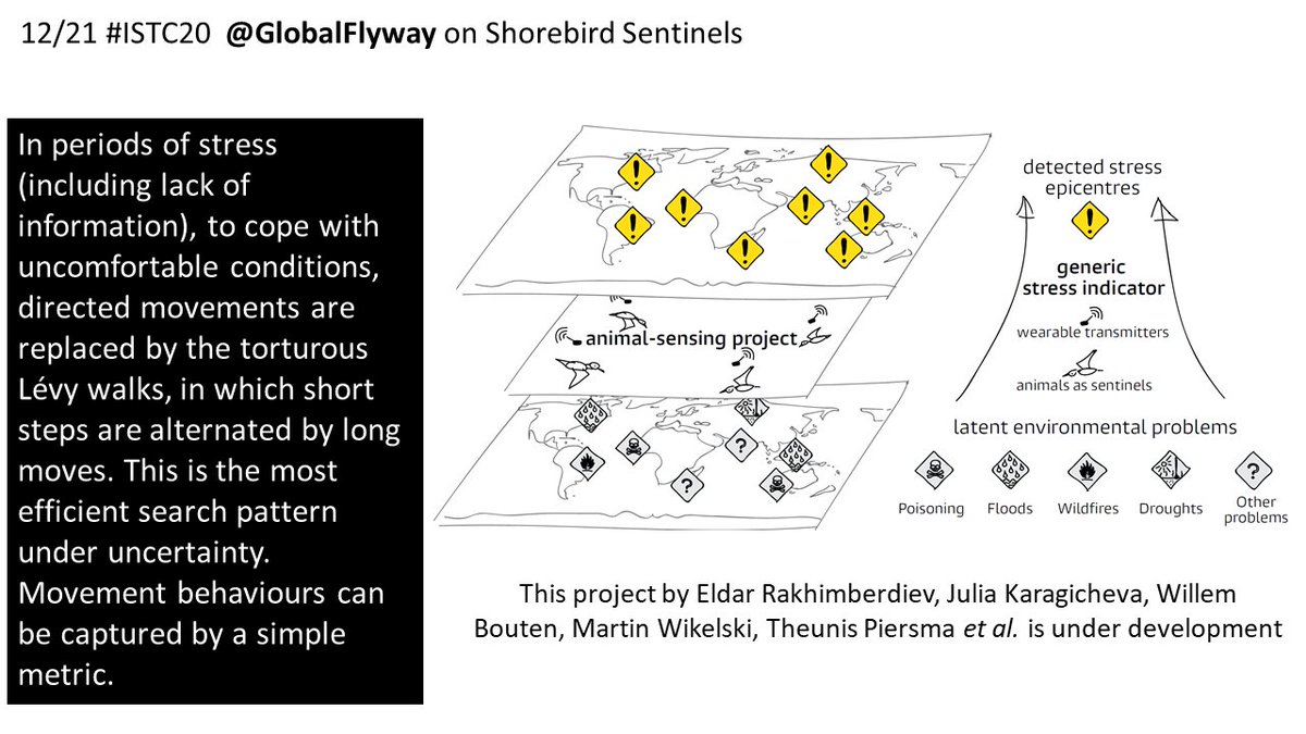 12/21  #ISTC20  #Sesh9This calls for direct measurements of movements to show state of animal & environment. Movement analysis of shorebirds with trackers, especially if tracks are detailed, offer lots of promise.  #movementecology  #globalchange  #ornithology  #ICARUSinitiative