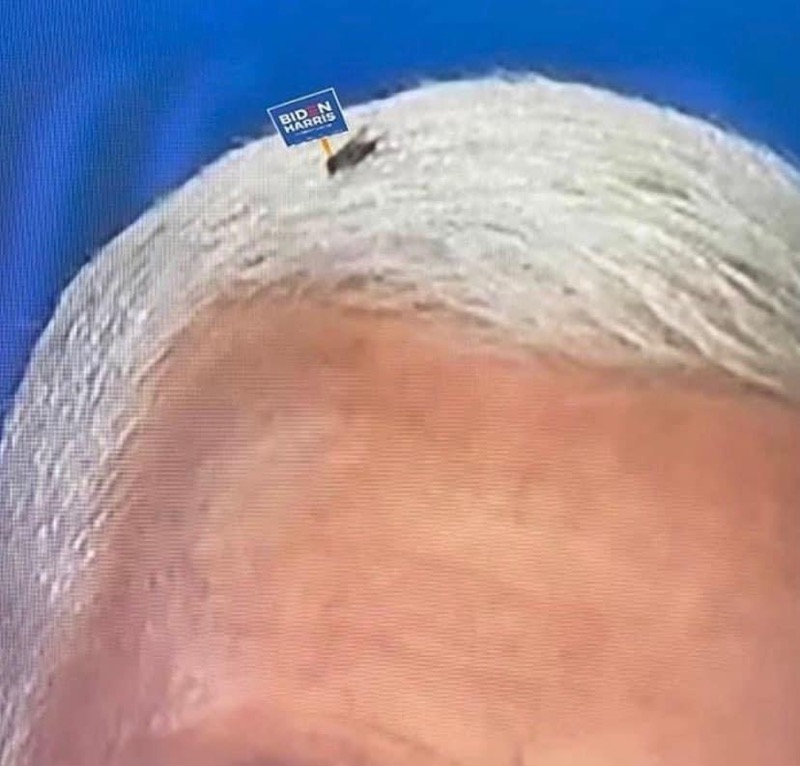 Fred Guttenberg tweet media