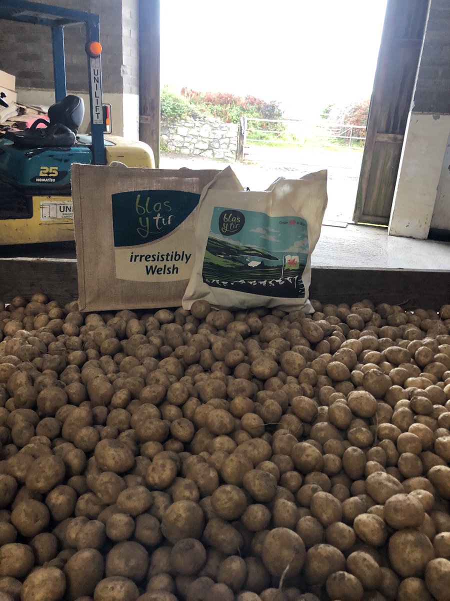 Great to meet the children of ⁦<a href="/coastlandsnews/">Coastlands School</a>⁩ this morning and talk about potatoes ⁦<a href="/LEAF_Farming/">LEAF</a>⁩   ⁦<a href="/blasytir/">Blas y Tir</a>⁩    We enjoyed your visit and talking to you all