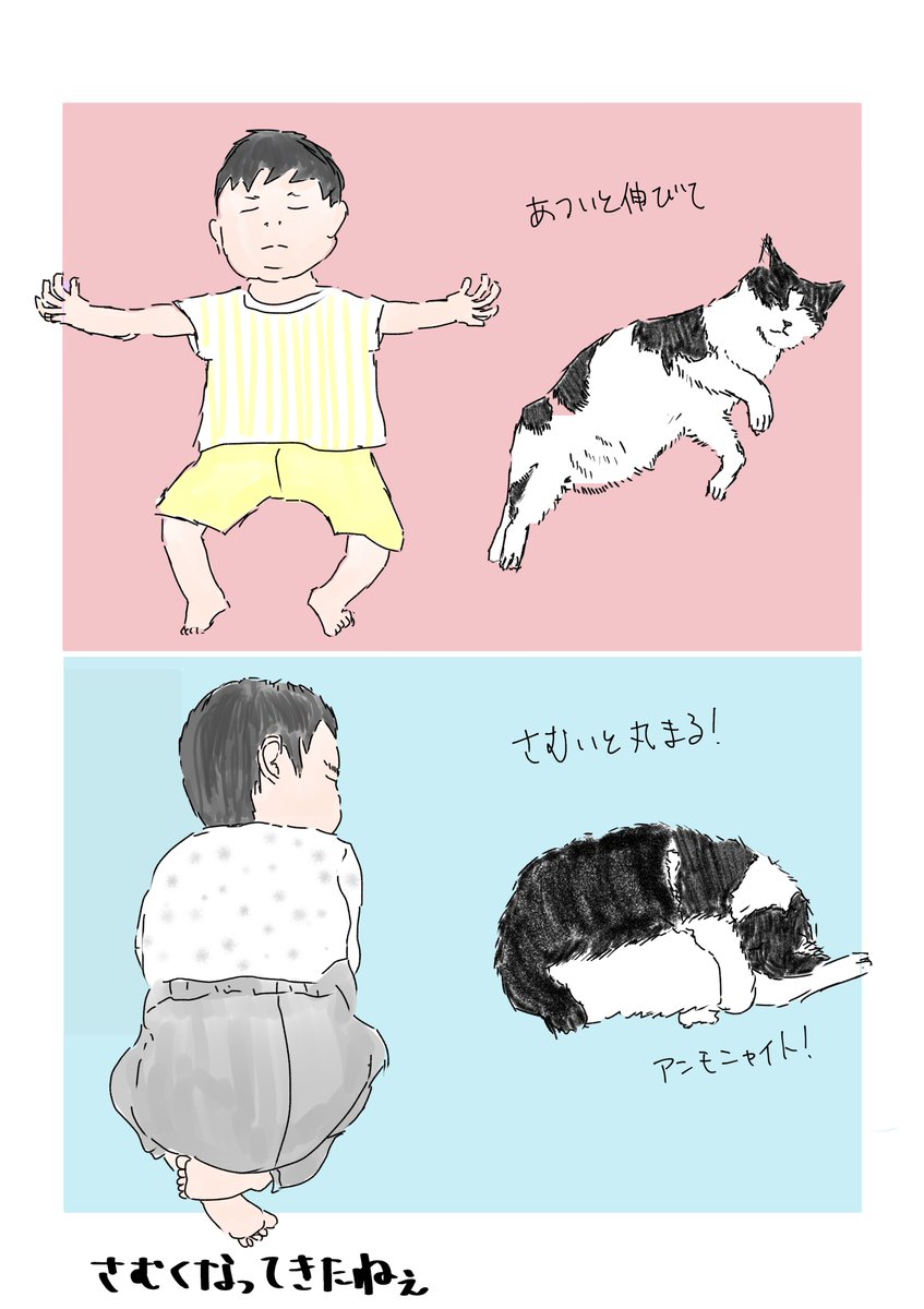 赤子も猫も一緒
#育児絵日記 #猫絵日記 