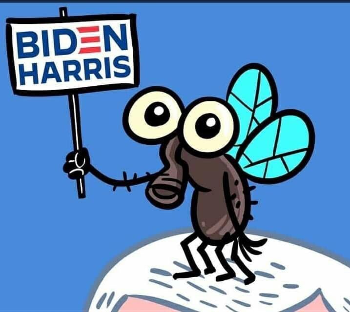 Fly’s campaign is grassroots and buzzy. I shall call you Reginald. Well done Reginald!