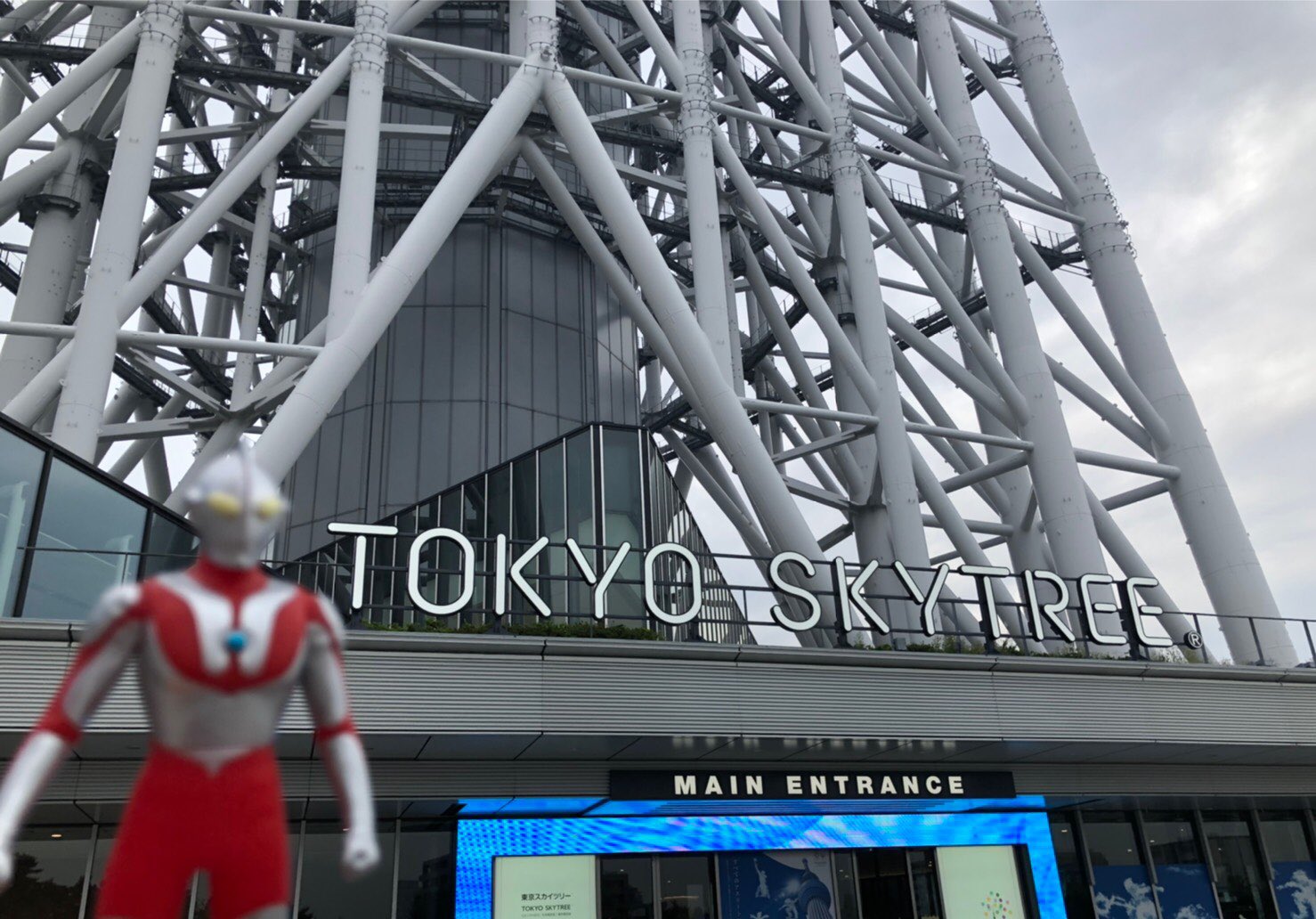 ウルトラマンワールドm78公式 ウルトラマンワールドm78東京スカイツリータウン ソラマチ店 東京スカイツリー の足元に立地している 東京ソラマチ 4階にて営業中 名誉店長は初代ウルトラマン ウルトラマン 大好きなスタッフが皆様をお待ちしてい