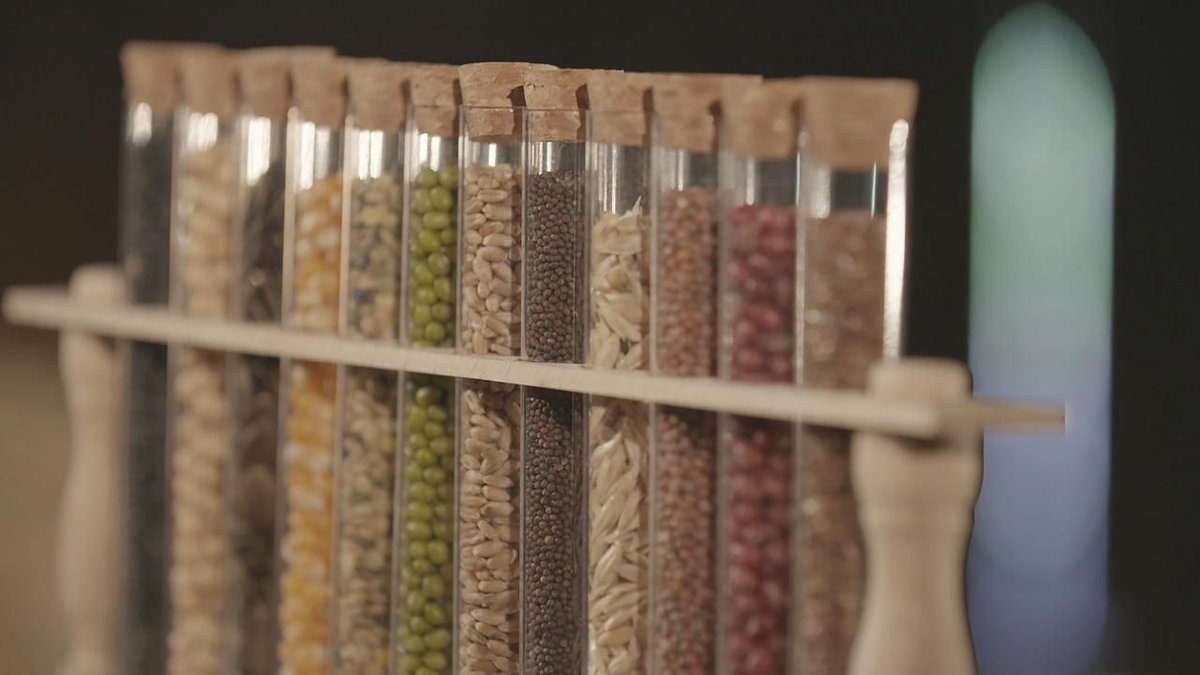 Das Saatgut-Kartell auf 3Sat: Nach diesem Beitrag weiß jeder, warum er Tomaten lieber selbst anbaut. Kleiner Tipp. Es geht hier auch um die Nährwerte von Hybriden.
Zu finden per Suchmaschine oder direkt hier:
3sat.de/gesellschaft/p…

#direktvombeet #kgv  #Ernährung #saatgut