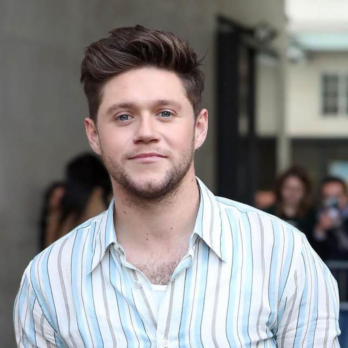 niall’s tiny earring: an appreciative and very necessary thread