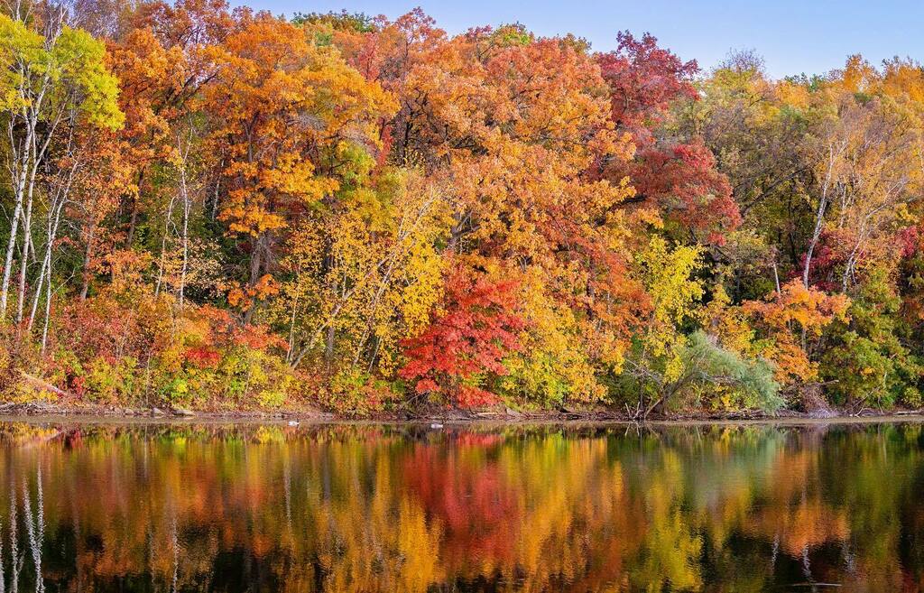 iLoads's tweet photo. -fall reflection-
#minnesota #lebanonhillsregionalpark #eaganmn #reflection #fallcolors #autumn #boldnorth #thisismymn #onlyinmn #exploremn #fallvibes #landof10000lakes #autumnvibes🍁 #10kviewsminnesota #foliage #captivatemn #minnesotaexposure #herei… https://t.co/cKOuXuy7gw https://t.co/2c3B2xBSRG