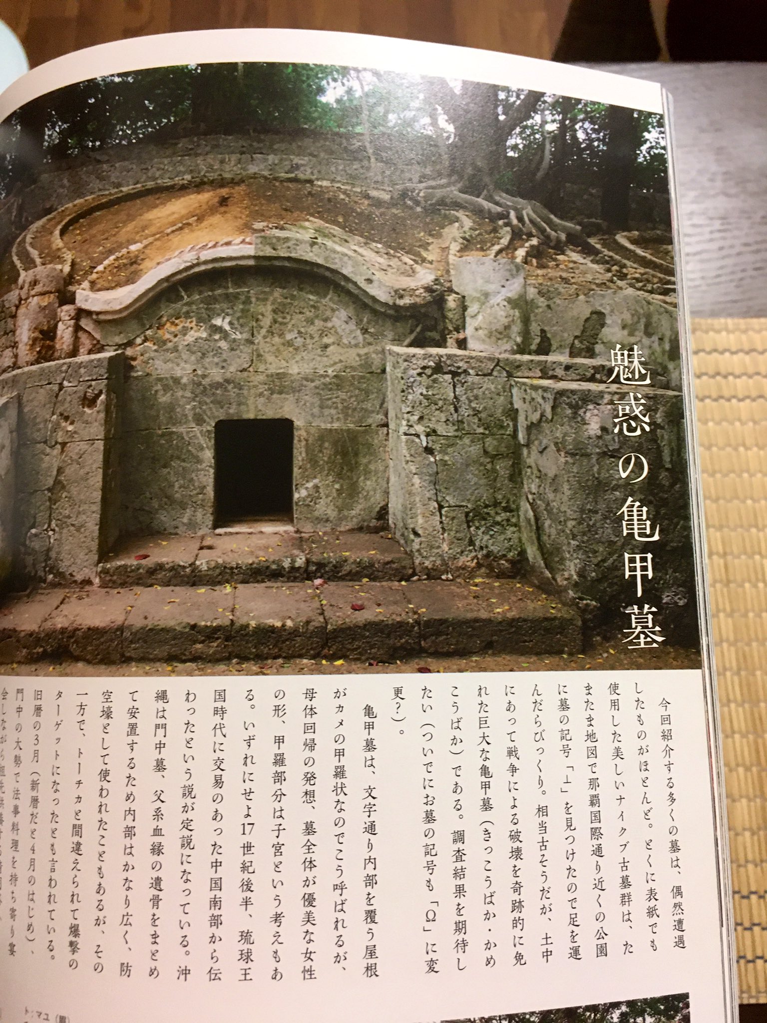 亀甲墓 Twitter Search Twitter